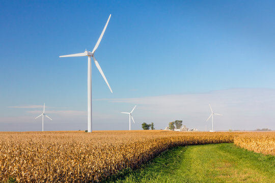 Large windmills or wind turbines spin to generate energy over a cornfield in the American Midwest on a sunny day with blue sky