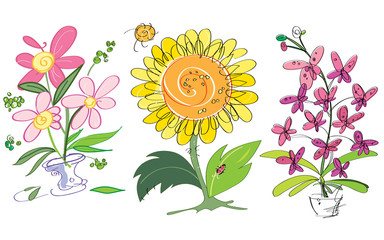 Vector colorful creative sunflower, orchids and pink flowers. Suitable for greeting cards.