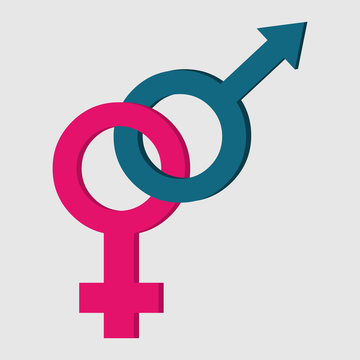 male and female gender symbol vector illustration