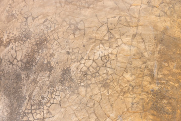 Concrete texture background