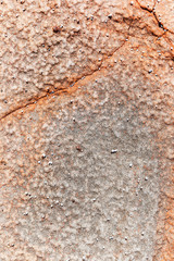 Orange seaside rock texture from years of erosion.