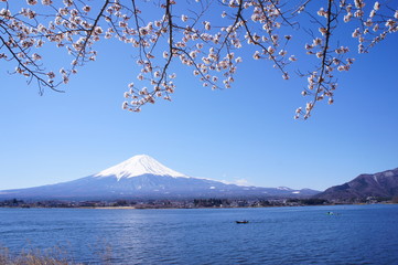 富士山　河口湖　青空
