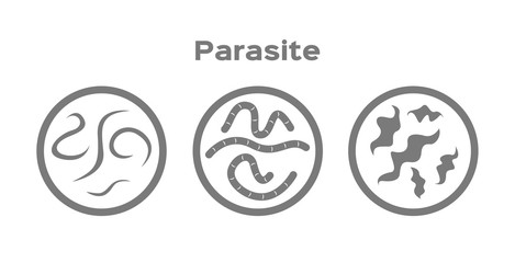 parasite in human icon