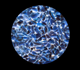 bacteria or cells under a microscope. Multiplication of bacteria or infection. Scientific experience. Microbes attacking cells