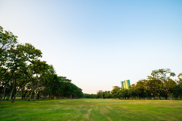 Obraz premium Green city public park with meadow nature landscape