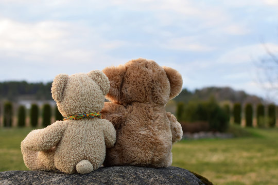 Best friends two teddy bears sitting on grey stone and looking forward dreaming about future outdoors on green blurred landscape background. Love, family and friendship concept.