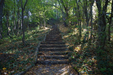Obraz premium Stairs in forest, Veliki Preslav, Bulgaria
