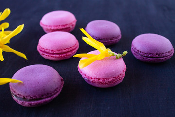 Macaron. Multicolored bright cookies with beautiful yellow flowers.