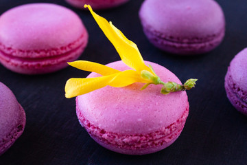 Macaron. Multicolored bright cookies with beautiful yellow flowers.