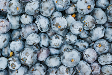 Background of ripe blue blueberry berries close-up © golubka57
