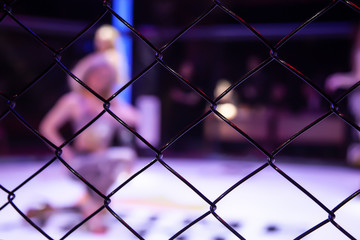 Boxing ring girl poses before a fight in the arena of the octagonal scene, view through the metal net. Attractive woman in the sports of mixed martial arts at the MMA tournament competitions.