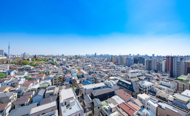 Fototapeta na wymiar Tokyo Skyline: an aerial view of the downtown