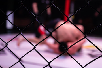 Sports concept of fighting without rules. Two athlete wrestlers in the arena of the octagonal scene. Mood fights without boxing rules MMA. Alternative look at sporting battles through the metal cage