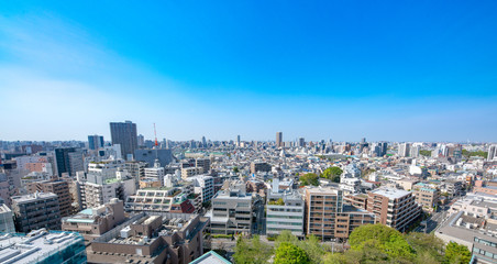 Tokyo Skyline: an aerial view of the downtown