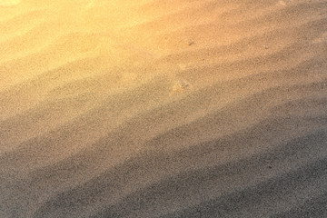 beach sand
