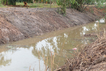 Pile of cut dry branches on the ground