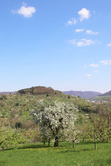Naklejka premium Landschaft rund um die Outlet City Metzingen