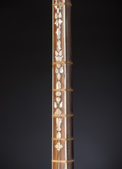 ancient Asian stringed musical instrument on black background with backlight. tuning peg 