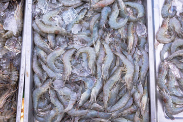 Raw fresh Shrimp on ice sell in market