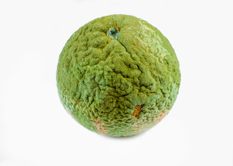 Spoiled fruit - mandarin. Tangerine with green mold. Isolated on white background.