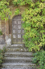 Fototapeta na wymiar Ancient overgrown door