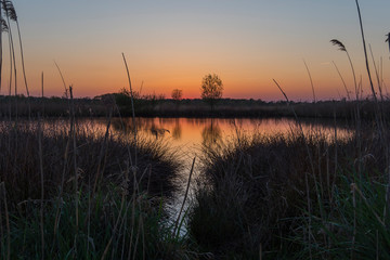 Rieselfelder sunset light sunny day nature