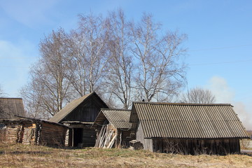 Dilapidated rural sheds on a spring day with tree and blue sky background, country landscape