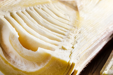 筍、たけのこ、タケノコ、旬、アップ