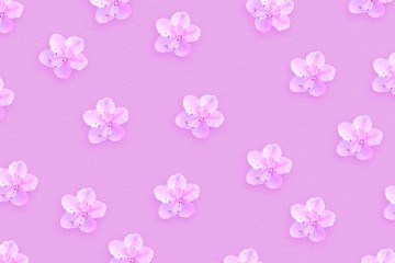 Light pink background with beautiful spring flowers.Congratulatory background. Holiday card.