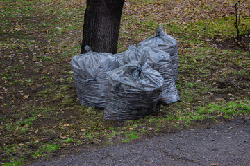 pollution and environmental clean up