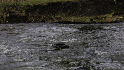 pollution and environmental clean up