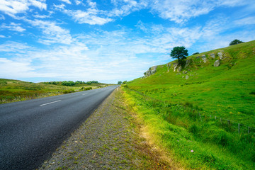 road in green hills,coromandel peninsula, new zealand 18