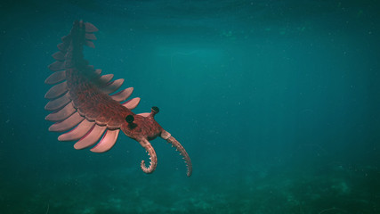 Anomalocaris, creature of the Cambrian period (3d paleoart illustration)