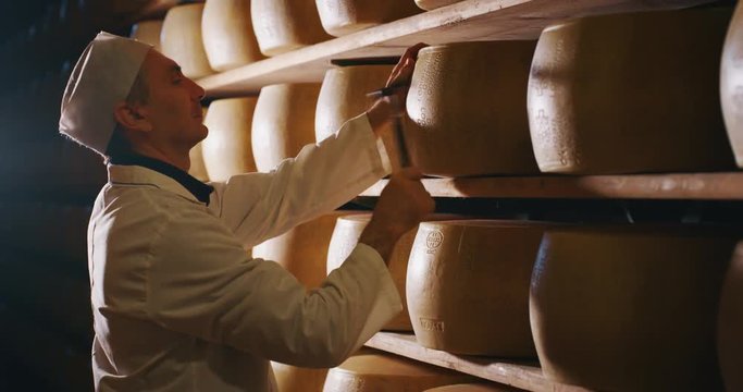 Slow motion close up of a cheesemaker is controlling the seasoning of Parmesan cheese, which was maturing by ancient Italian tradition for many months.