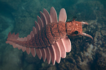 Anomalocaris, prehistoric creature of the Cambrian period (3d science rendering)