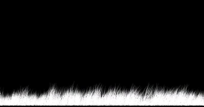 Spring grass sways in the wind. Seamless looping (loop). Transparent background, alpha channel and luma matte 59,94 fps