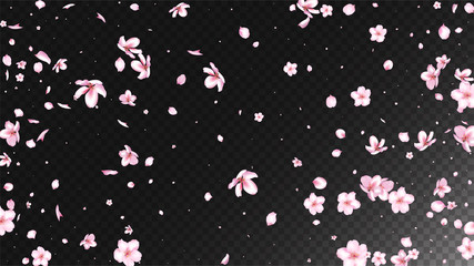 Nice Sakura Blossom Isolated Vector. Tender Flying 3d Petals Wedding Border. Japanese Funky Flowers Illustration. Valentine, Mother's Day Magic Nice Sakura Blossom Isolated on Black
