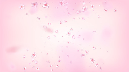 Nice Sakura Blossom Isolated Vector. Pastel Falling 3d Petals Wedding Pattern. Japanese Gradient Flowers Wallpaper. Valentine, Mother's Day Realistic Nice Sakura Blossom Isolated on Rose