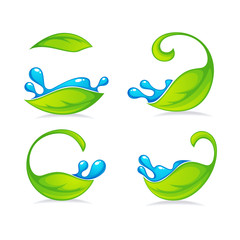 bright green leaves and blue water drops for your organic and nature labels and stickers