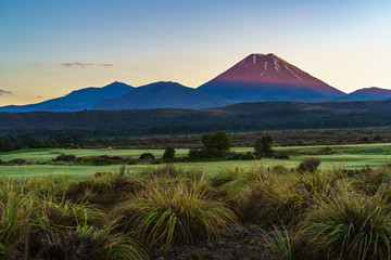 Fototapeta premium Cone volcano,sunrise,Mount Ngauruhoe,New Zealand 8
