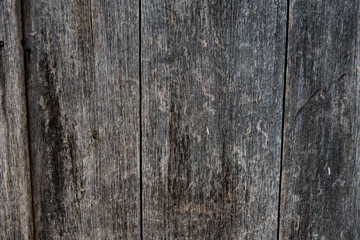 wood background texture