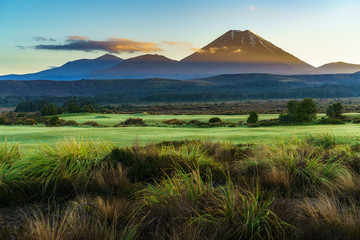 Cone volcano,sunrise,Mount Ngauruhoe,New Zealand 25