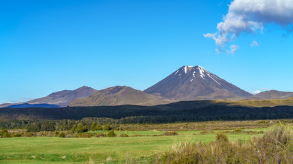 Fototapeta premium cone volcano,mount ngauruhoe,tongariro,new zealand 6