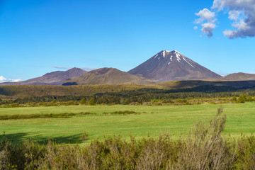 Fototapeta premium cone volcano,mount ngauruhoe,tongariro,new zealand 7