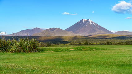 Fototapeta premium cone volcano,mount ngauruhoe,tongariro,new zealand 11