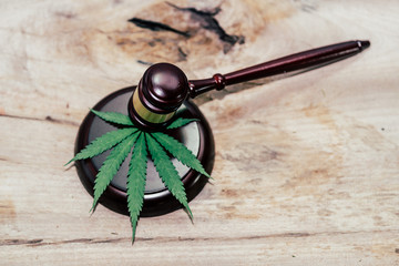 Marijuana, indica, marijuana, marijuana, CBD, marijuana leaves and verdicts mallet