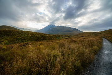 Fototapeta premium tongariro alpine crossing,cloudy, new zealand 2