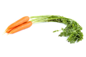 Fresh carrot isolated on white background
