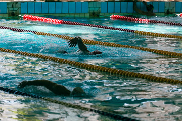 Fototapeta premium Crawl in the sport pool