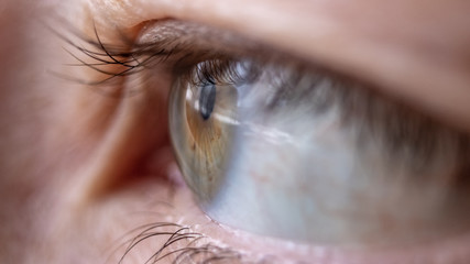 Macro photo of the female eye with eyelashes